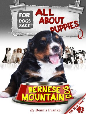 cover image of All About Bernese Mountain Dog Puppies